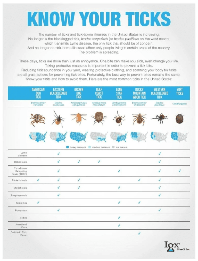 A Closer Look At The Different Types Of Ticks | IGeneX Tick Talk