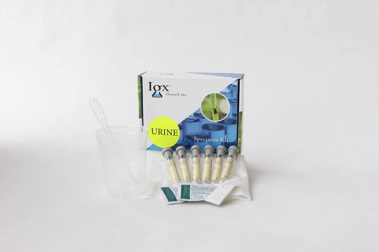 Exacto Test Urinaire Kits x 3, Notice