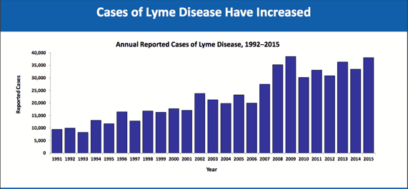 Lyme Symptom Chart