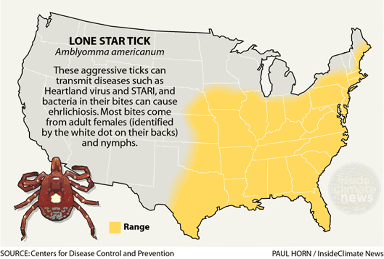 Deer Tick Location Map 7 Places You Wouldn't Expect To Find Lyme Disease (But Do) | Igenex