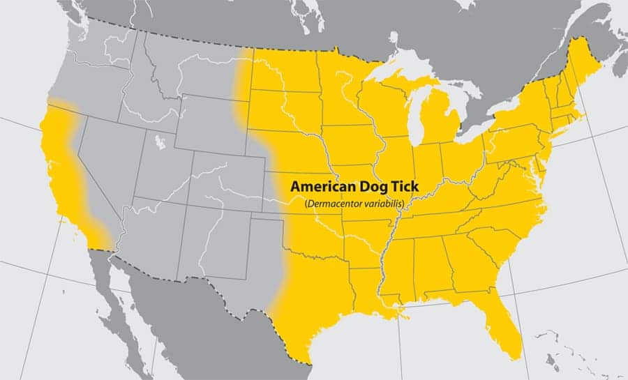Map of American Dog Ticks in United States