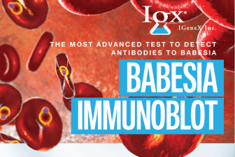babesia-immunoblot-test